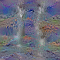 n09288635